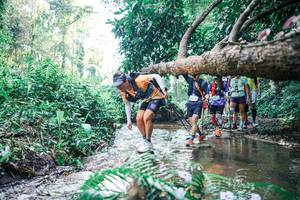 BIB: 
                            <button type="button" onclick="openModal(25450317)" class="btn btn-primary btn-sm float-right btn-popup" data-toggle="modal" data-target=".modal-high-quality">
                        <i class="fas fa-shopping-cart"></i> Add to Cart
                    </button>
                                            <button type="button" onclick="isThisMe(25450317, true)" class="btn btn-success btn-sm float-right btn-popup btn-isme hidden" data-toggle="tooltip" data-placement="bottom" title="นี่คือรูปของคุณใช่ไหม คลิกที่นี่เพื่อเอาเข้าอัลบั้ม">
                        <i class="fas fa-plus"></i> Add to album
                    </button>
                    <button type="button" onclick="isThisMe(25450317, false)" class="btn btn-warning btn-sm float-right btn-popup btn-isnotme hidden">
                        <i class="fas fa-ban"></i> Remove from album
                    </button>